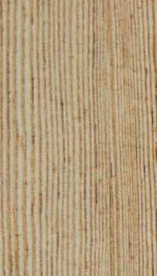 Merino Douglas Fresco Pine