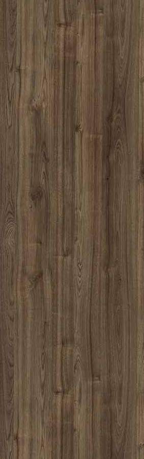 Merino Smooth Leaved Elm