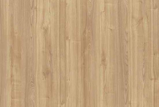 Merino Apex Leaved Elm