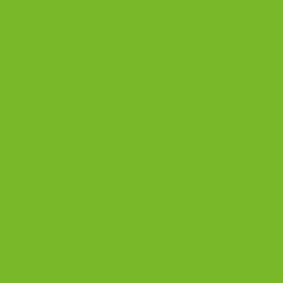 Merino Parrot Green