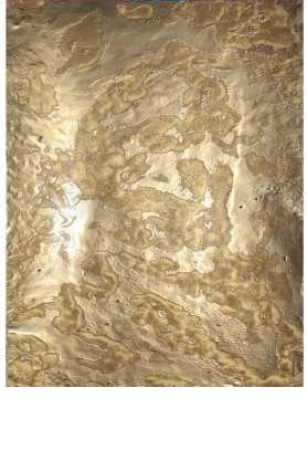 Propperly Gold