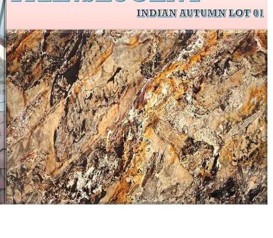Propperly Indian Autumn Lot 01