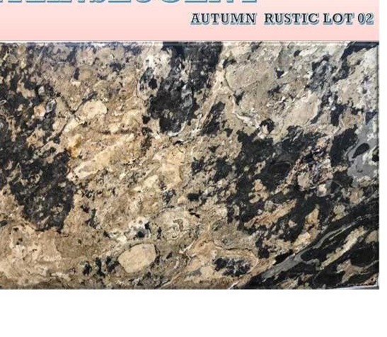 Propperly Autumn Rustic Lot 02