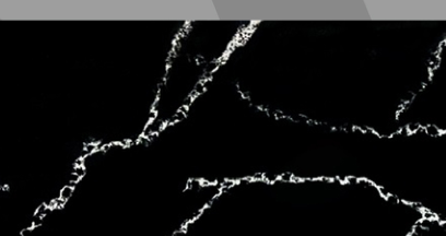 Tiara Black Calacatta