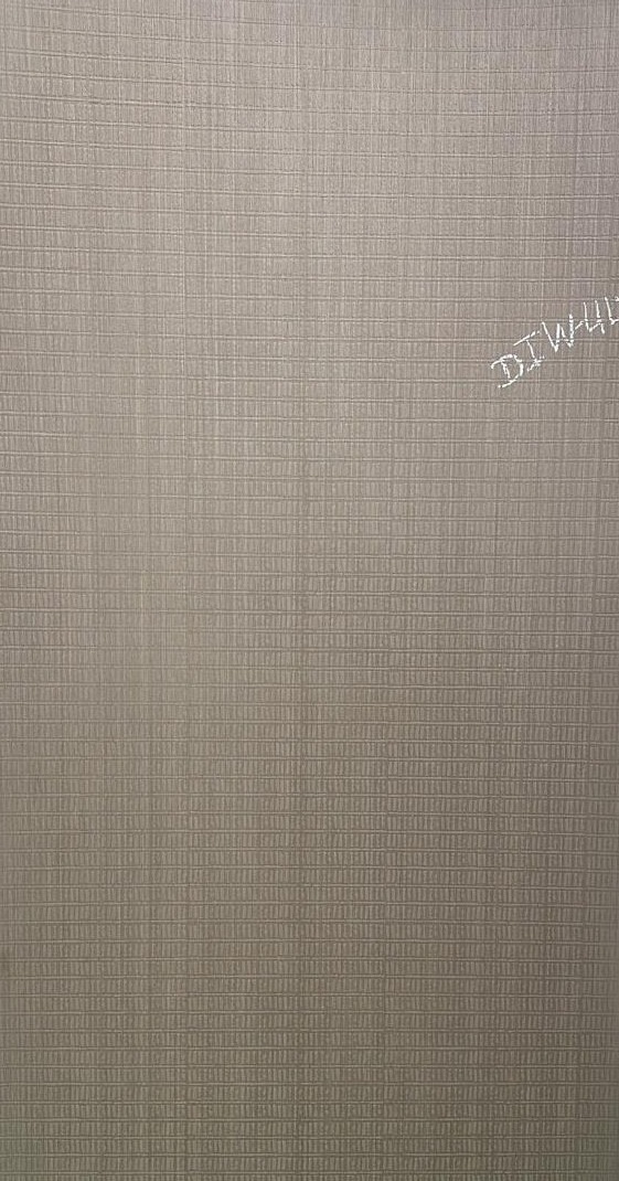 Propperly Embossed Veneer 21
