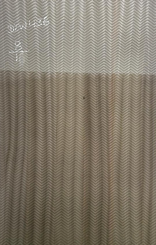 Propperly Embossed Veneer 25