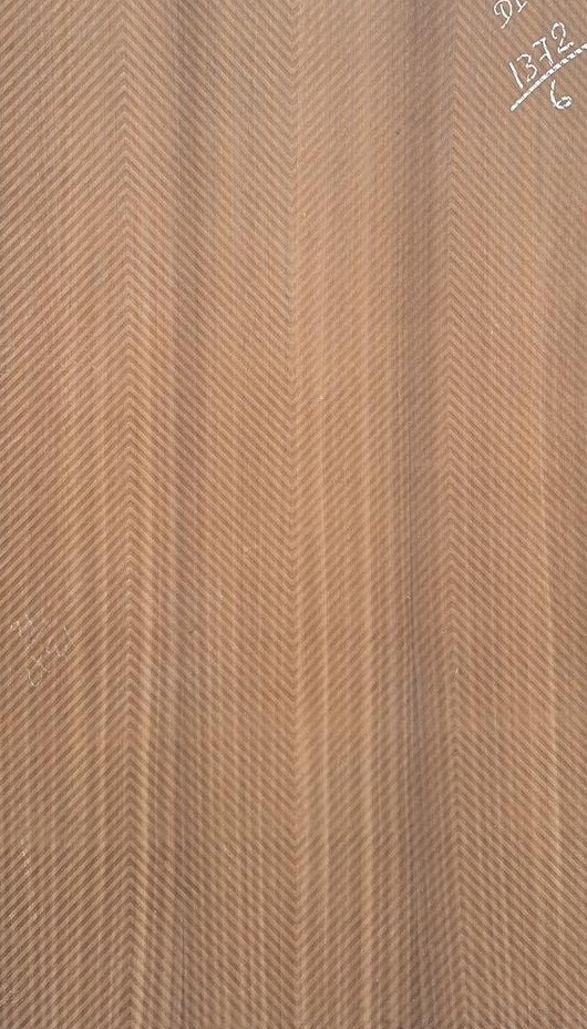 Propperly Embossed Veneer 40