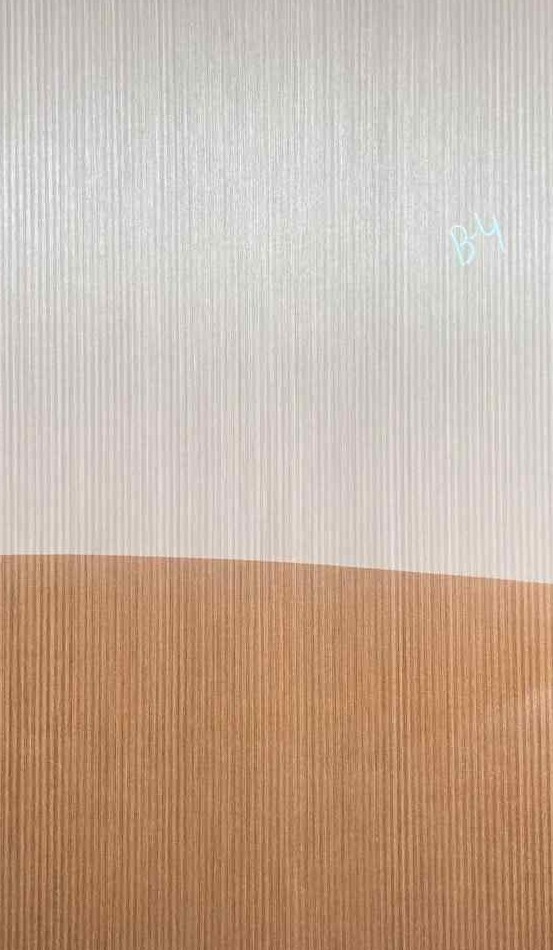 Propperly Engineered Veneer 03