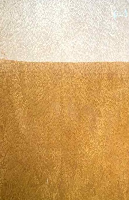 Propperly Engineered Veneer 27