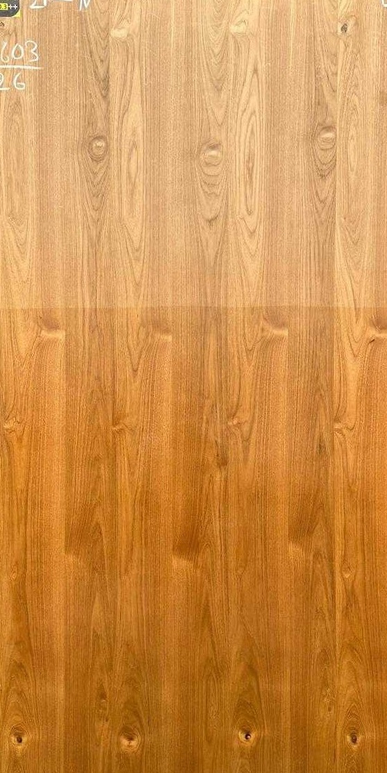 Propperly Burma Teak Veneer 09